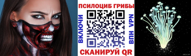 мега зеркало Кирово-Чепецк Галлюциногенные грибы Cubensis
