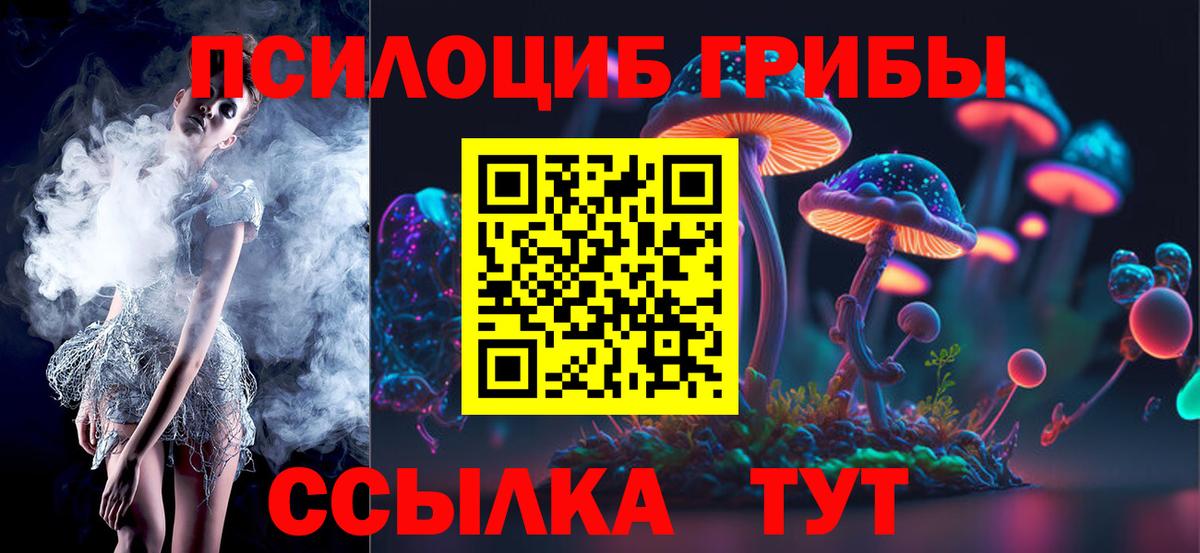 Галлюциногенные грибы Cubensis Кирово-Чепецк