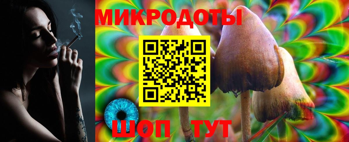 Кирово-Чепецк  Псилоцибиновые грибы Psilocybine cubensis  Вход с VPN  Псилоцибиновые грибы GOLDEN TEACHER 